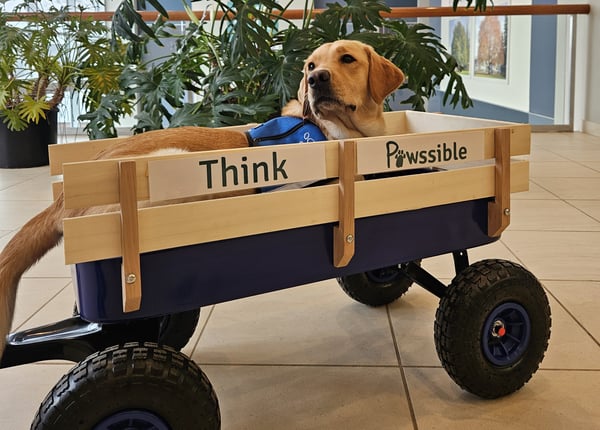 pawsible header-2 pawsible header-2